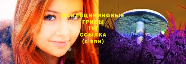 2c-b Гусь-Хрустальный